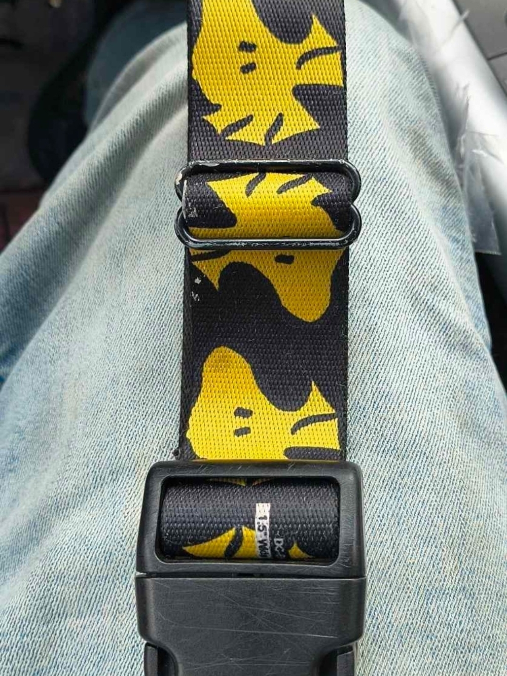 Adjustable Black and Yellow Dog Collar with Playful Pattern